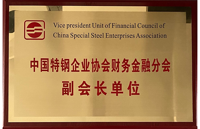 Vice-presidente da Unidade de Finanças e Filial Financeira da Associação de Empresas de Aço Especial da China