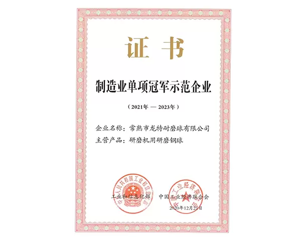 Demonstration enterprise for single champion in manufacturing industry